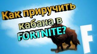 Как ПРИРУЧИТЬ кабана и других диких животных в FORTNITE