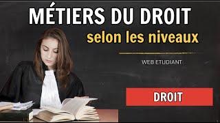 Quels métiers faire avec des études de droit ?