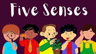 Five Human Senses - Learn about sense organs