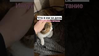 Мой рацион #интуитивноепитание #мотивация #осознанноепитание #чтояем #чтояемзадень #рацион #питание