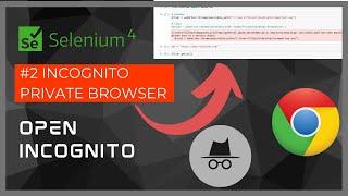 SELENIUM: How to OPEN With Incognito PRIVATE BROWSER Chrome #2