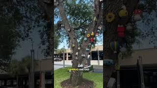 Miami Tag 5 #vlog #live #explore #twitch #funny #streamer