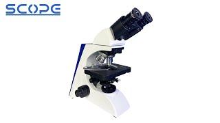 BK6000 Binocular Biological Microscope Infinity Optical from Chongqing Scope