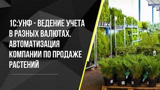 1С:УНФ Ведение учета в разных валютах.  Автоматизация компании по продаже растений