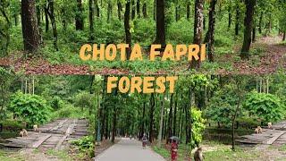 CHOTA FAPRI FOREST VLOG 2023/SILIGURI/ BAIKUNTHAPUR FOREST CHOTA FAPRI SILIGURI 2023/SUNDAY OUTING.