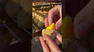 #food #cooking #videoshort #fruit #eggs #delicious #trunglon #funny #yummy #satisfying