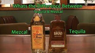 What is the Difference Between Tequila and Mezcal