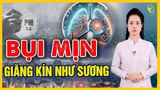 Ô nhiễm không khí báo động - Cách bảo vệ phổi từ 4 loại trà - KHỎE TỰ NHIÊN