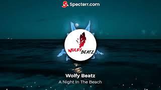 A Night In The Beach By Wolfy Beatz (Official Music Video)