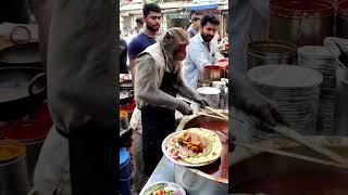 Unique dish the monkey pouring curry chicken with roti 🫓 #shorts #new #monkey #food #content