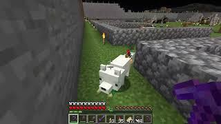 Take Item from a Fox without hurting, give it something else - Minecraft 1.21