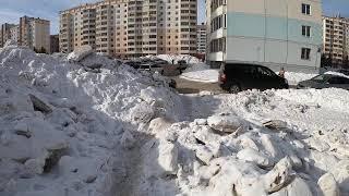 НОВОСИБИРСК /СТРИЖИ /РОДНИКИ