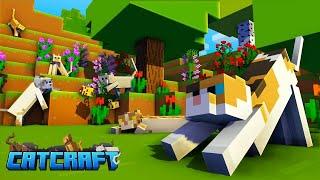 Minecraft Mapart featuring the CatCraft server!  Cat Craft Art Fun