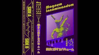 Magnum Innominandum — めまいがするバキューム