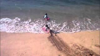 Hawaiian sledding