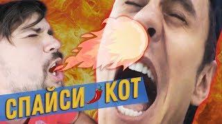 ОСТОРОЖНО СПАЙСИ КОТ / НОВЫЕ ВЛОГИ