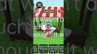 let me sell the cactus and see how much it's worth. (I wanted to get money)