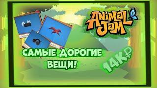 Самые дорогие вещи в Animal Jam! 