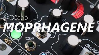 Обзор модуля Make Noise MORPHAGENE (Eurorack)