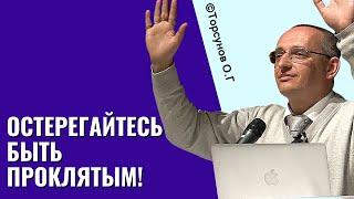 Остерегайтесь быть проклятым! Торсунов лекции