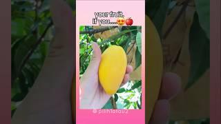 Choose Your Fruit!#aesthetic #fruit #fyp #shorts #trending