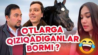 OT larga qiziqadiganlar bormi ?  | Mittivine