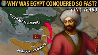 How was Egypt Conquered by the Ottomans in just 1 Year?