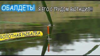 Рыбалка на болоте ЗДЕСЬ СТОЛЬКО РЫБЫ, я в ШОКЕ!!! Ukrainian Fishing