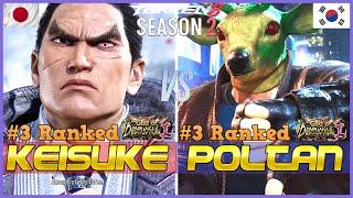 Tekken 8 ▰ KEISUKE (#3 Ranked Kazuya) Vs POLTAN (#3 Ranked King) ▰ T8 High Level Gameplay