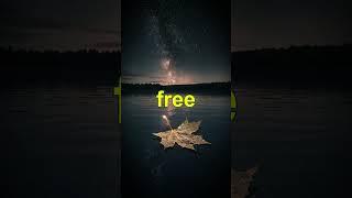 Is Free Will an Illusion? | The Truth You’ve Never Been Told