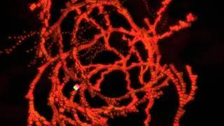 [Demoscene] Evoke 2010 - B-Incubation by Ctrl-Alt-Test [64k Competition] 1080P