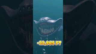 Deep sea creatures are found Great White Shark Vs El Gran Maja