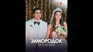 Турецкий сериал «Зимородок»