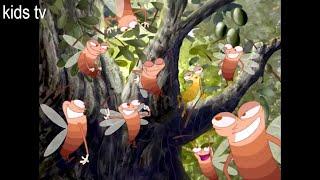 Oggy and the Cockroaches - The Cicada and Cockroach, Огги и кукарачи - Цикада и таракан