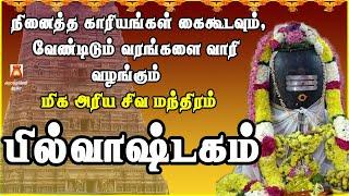 வாழ்வில் கேட்டதை அள்ளிக்கொடுக்கும் | மிக அரிய சிவ மந்திரம் | பில்வாஷ்டகம் | LORD SIVAN BAKTHIPADAL