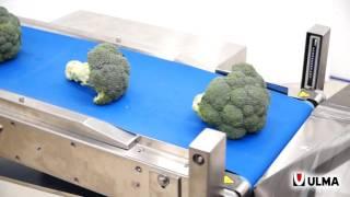 Trayless packaging of a wide range of vegetables in a flow pack machine (HFFS)