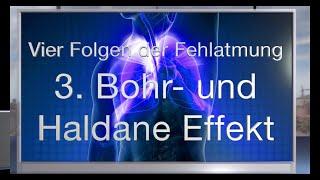 Vier physiologische Folgen von funktionellen Atemstörungen: 3. Der Bohr- und Haldane-Effekt