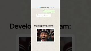 Development team and project manager #coding #fun
