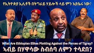 የኢትዮጵያ ኢሊቶች በትግራይ ሃይሎች ላይ ምን እያሴሩ ነው? #TigraiPress #Ethiopia #TigrayWar #Eritrea #RedSea #Abiy #HOA