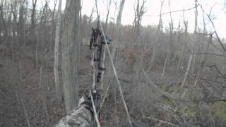 Deer shoulder strike