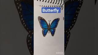 How To Draw Butterfly #shots #drawing #learnstepbystep