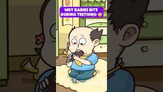Why Do Babies Bite Everything?!  (It’s Teething Time!)