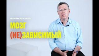 Как формируется зависимость: никотин, алкоголь и наркотические вещества (Вячеслав Дубынин)