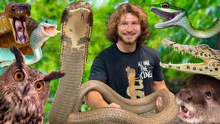 FEEDING ALL MY ANIMALS!
