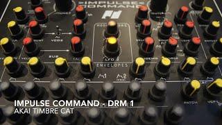 Analogue Solutions Impulse Command - Choppy Bass