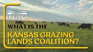 Hear From a Board Member - What is Kansas Grazing Lands Coalition?