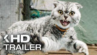 Spies vs. Backpackcat! - ARGYLLE Trailer German Deutsch (2024) Sam Rockwell, Dua Lipa