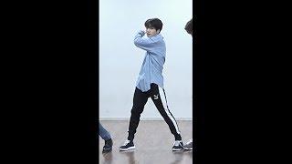 FAKE LOVE Dance Practice BTS JUNGKOOK 정국 focus