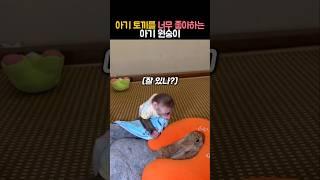 아기 토끼를 너무 좋아하는 아기 원숭이 #동물 #원숭이 #토끼