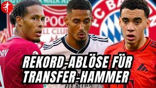 MEGA BAYERN TRANSFER? | Van Dijk Deal & Wirtz Transfer? | FCB Star vor Abschied | Buli News